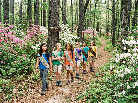 Wild Azalea Trail